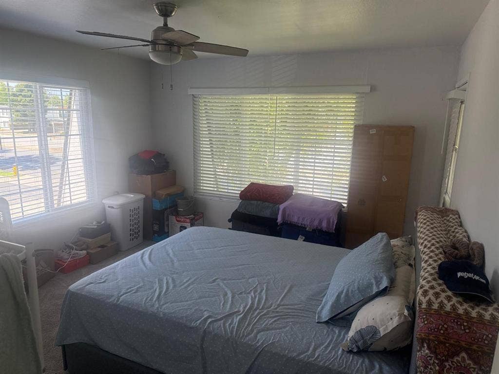 Looking for a Flatmate