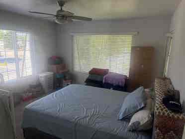 Looking for a Flatmate