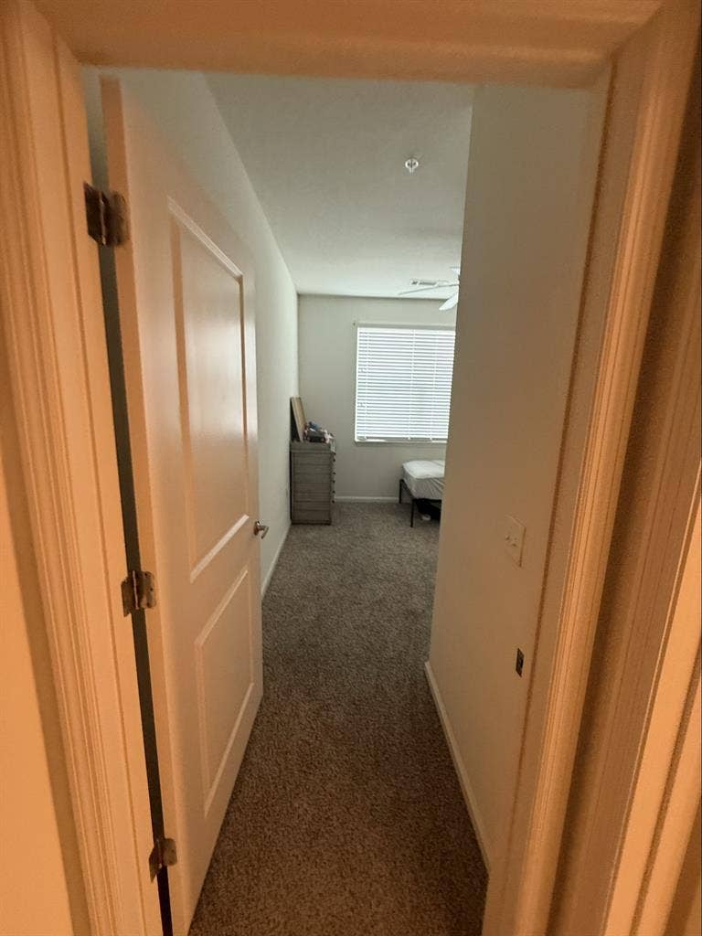 Looking for room mate