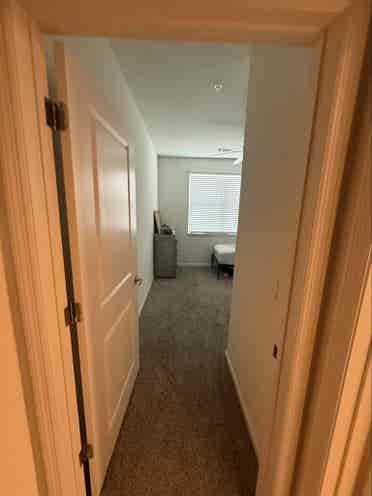 Looking for room mate