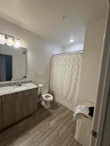 Looking for room mate