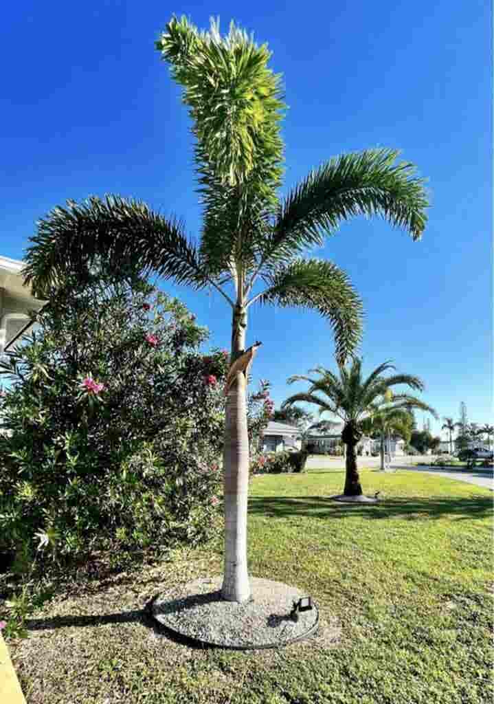 ROOMMATE WANTED