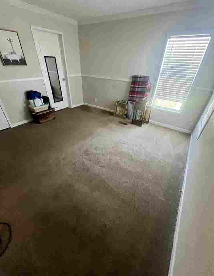ROOMMATE wanted