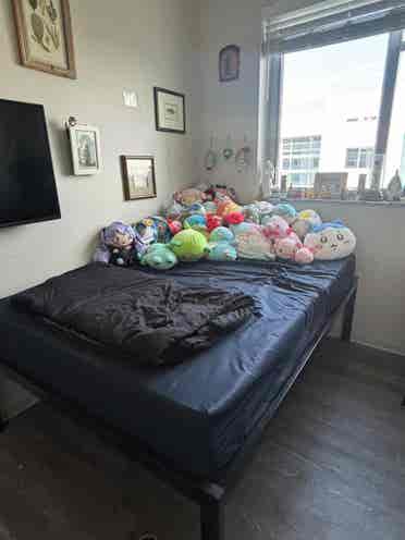 penthouse sublease