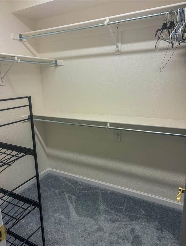 Private Basement Apartment