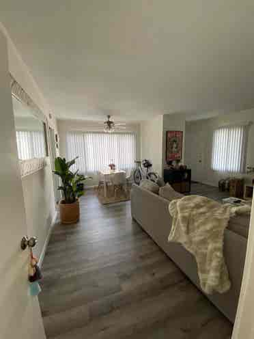 Looking 4 Female roommate