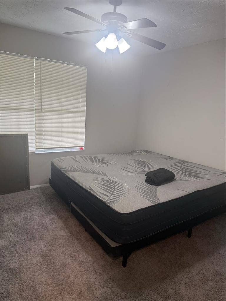 Looking for Roomate