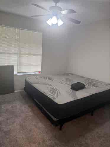 Looking for Roomate
