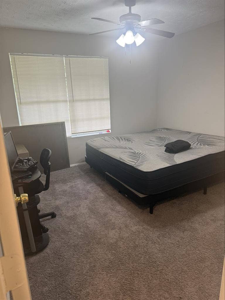 Looking for Roomate