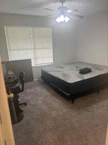 Looking for Roomate