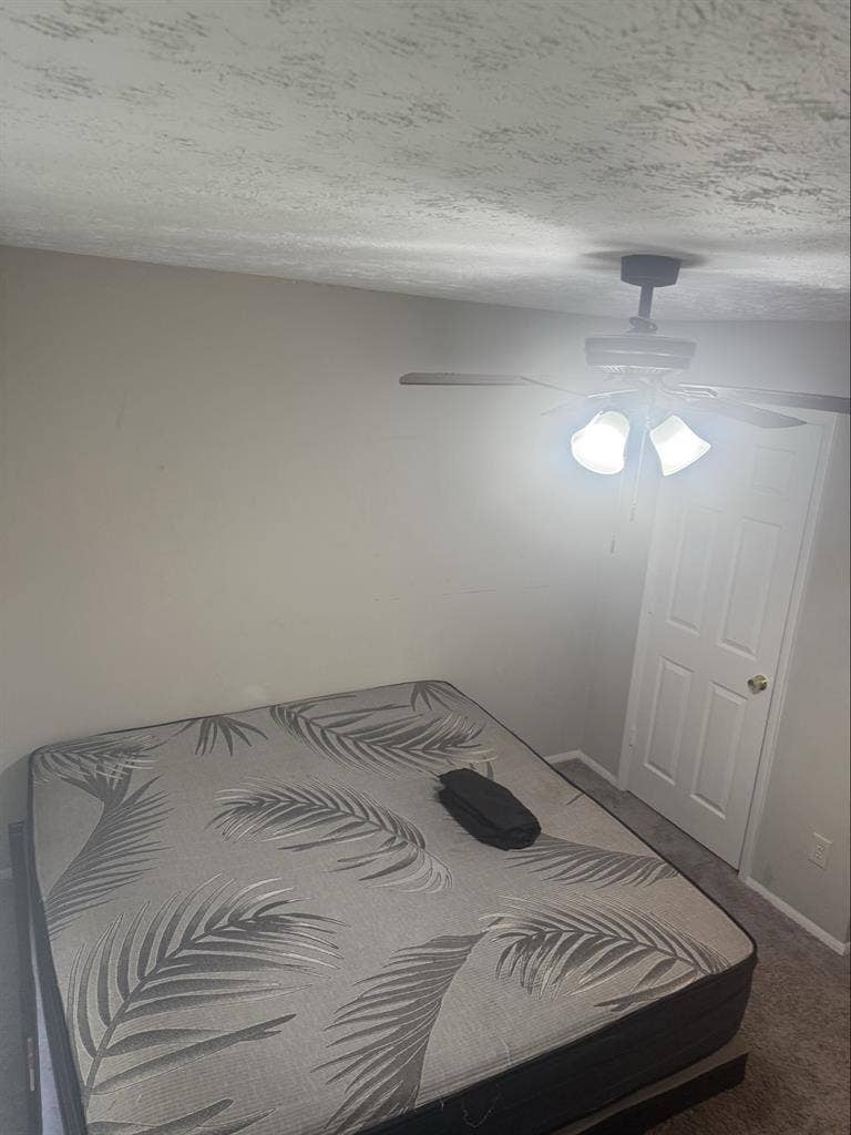 Looking for Roomate