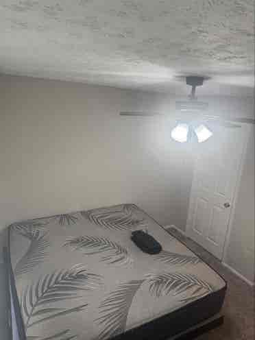 Looking for Roomate