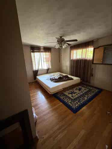 Looking for female roommates!