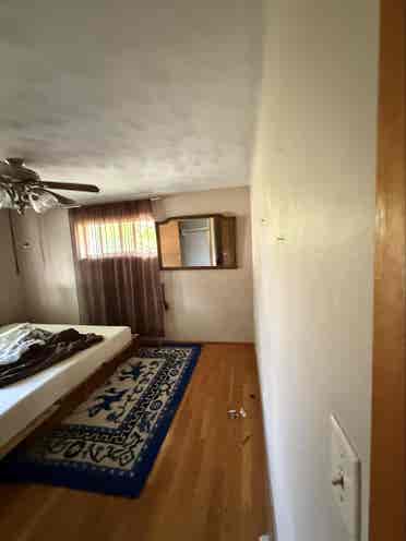 Looking for female roommates!