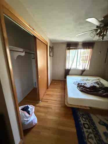 Looking for female roommates!