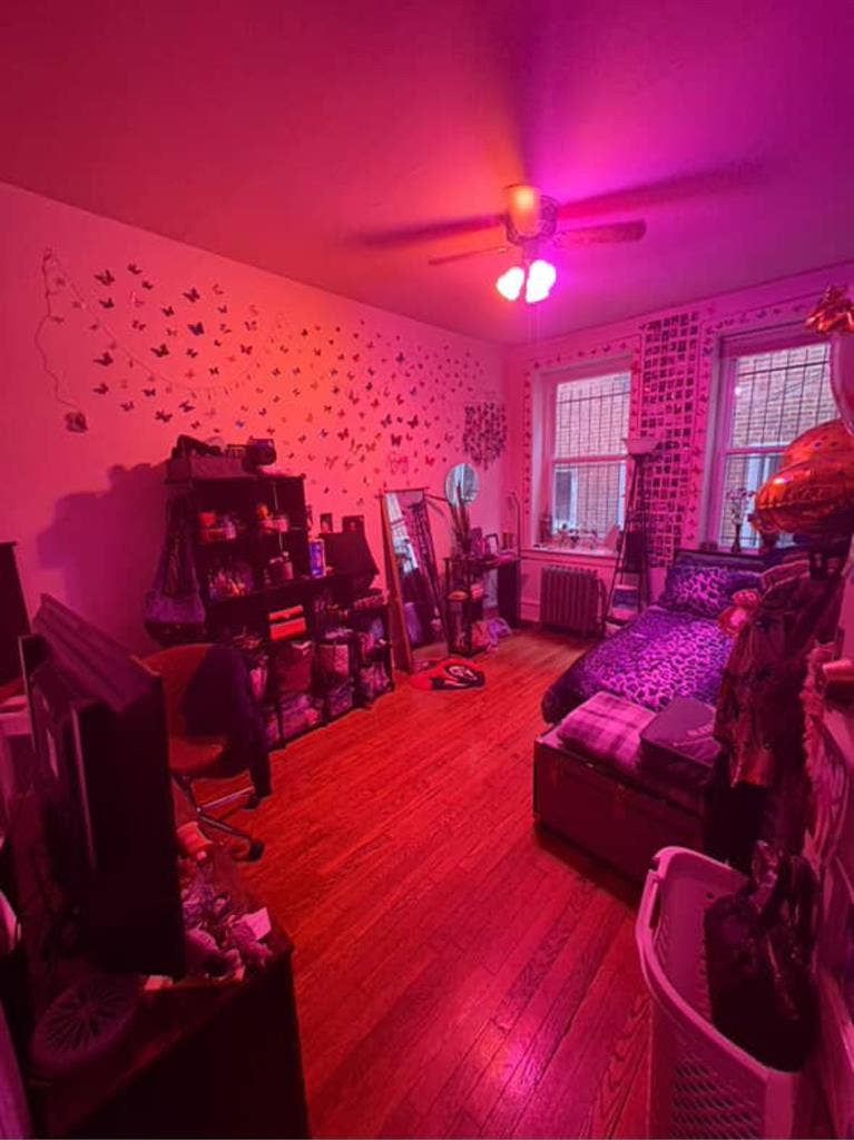 In search of roommate