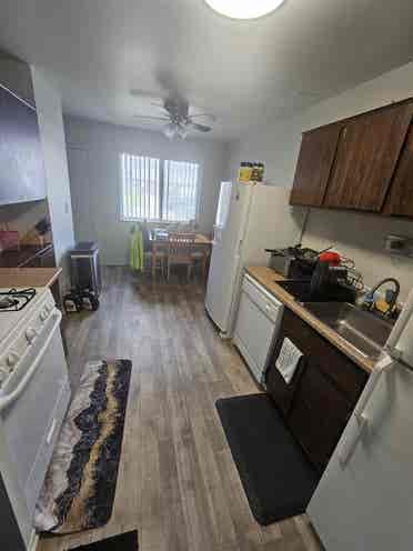 Wanted Roommate to share expenses