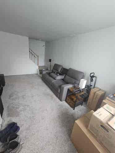 Wanted Roommate to share expenses