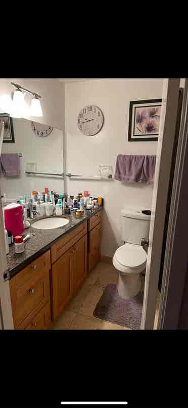 Looking for 1 roomate