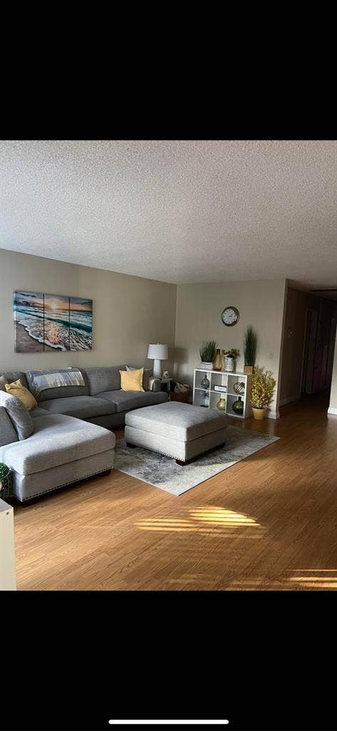 Looking for 1 roomate