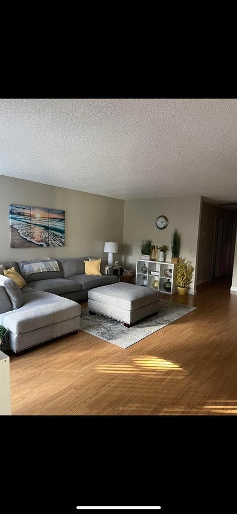 Looking for 1 roomate