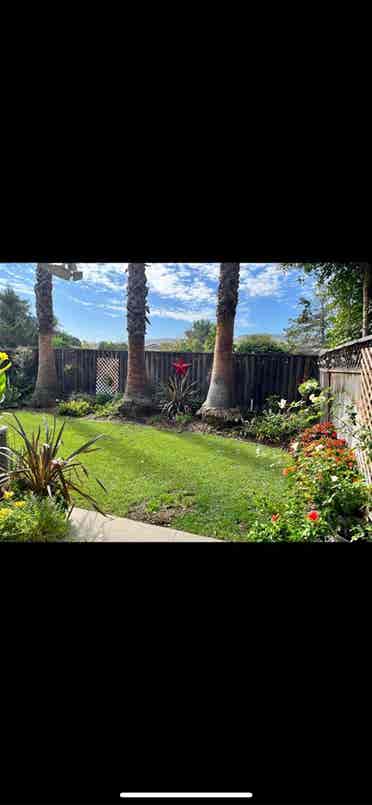 Looking for 1 roomate
