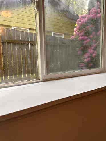 West Seattle private remodel room