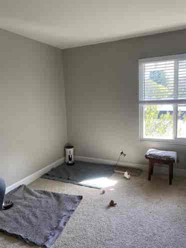 Looking for 1 female roommate
