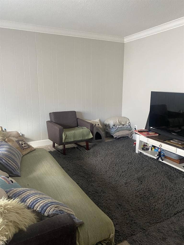 Looking for 1 female roommate