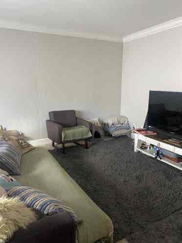 Looking for 1 female roommate