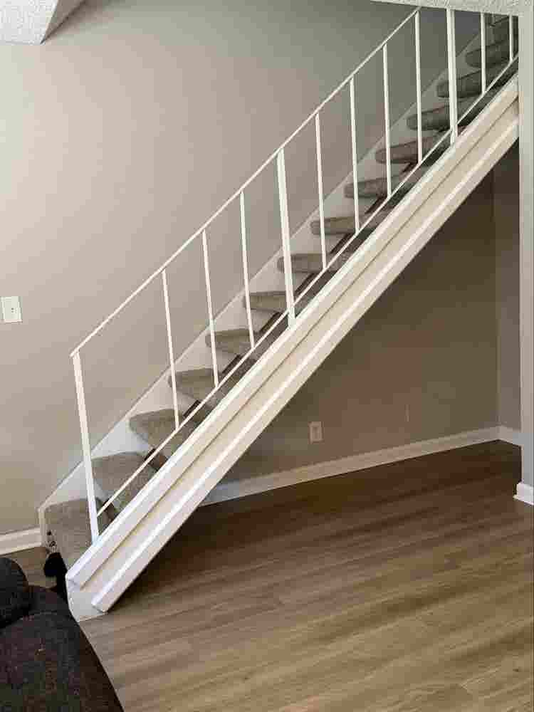 Chill Roommate  Townhouse