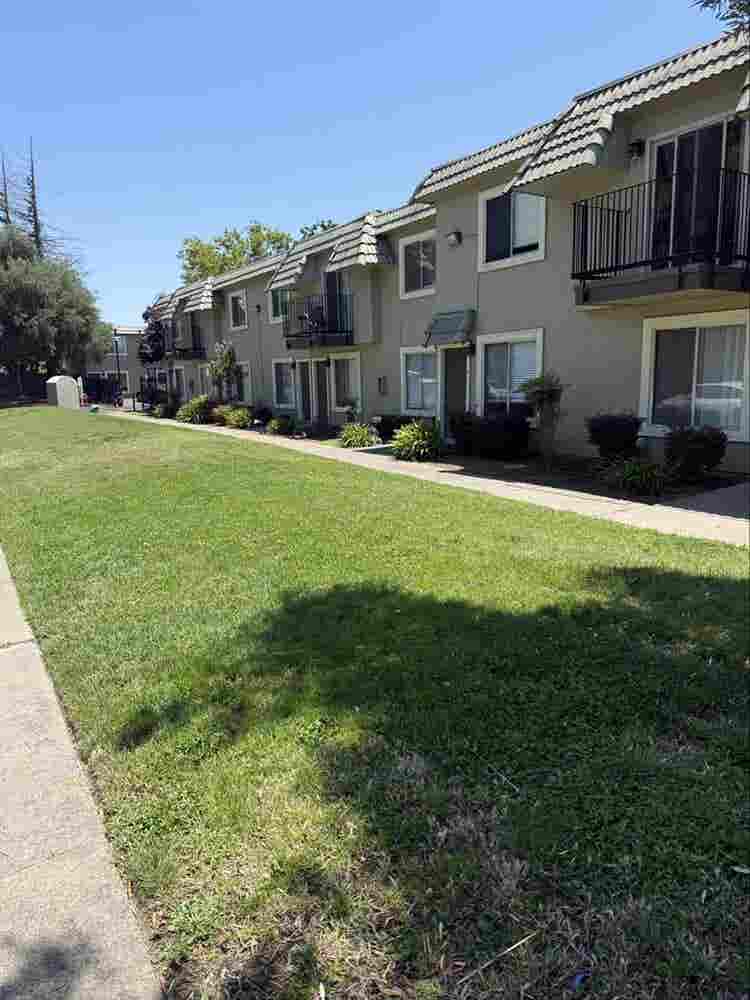 Chill Roommate  Townhouse