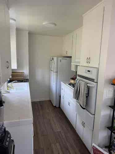 UCSB Pro w/ Room Available