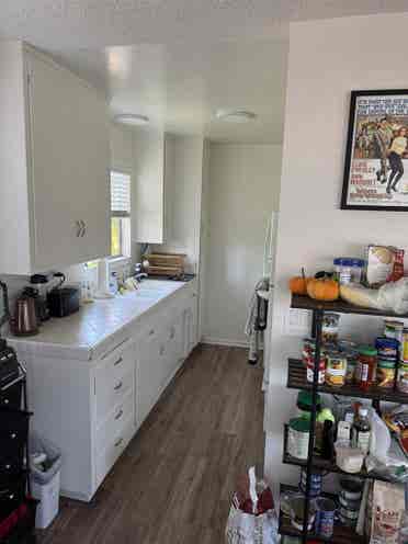 UCSB Pro w/ Room Available
