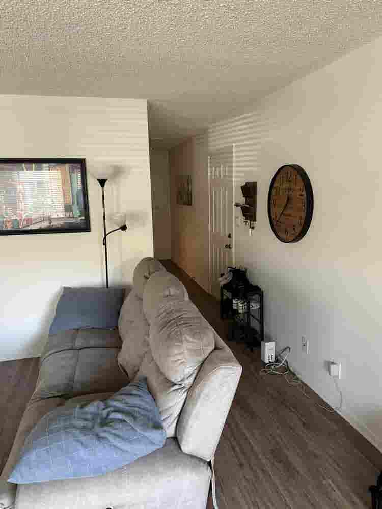 UCSB Pro w/ Room Available