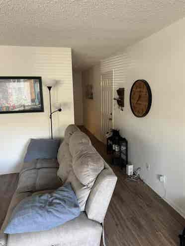 UCSB Pro w/ Room Available