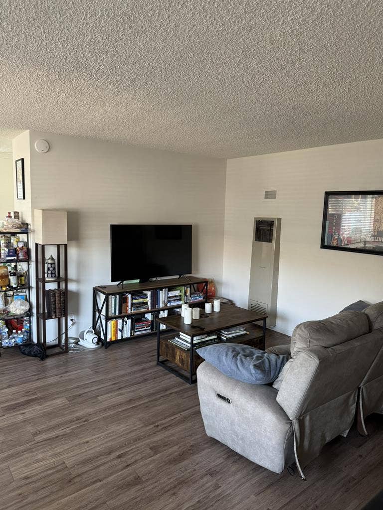 UCSB Pro w/ Room Available