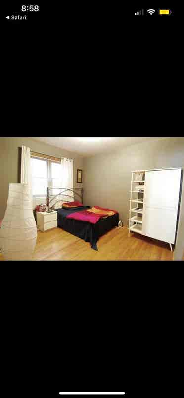 Roommate for Roscoe Village