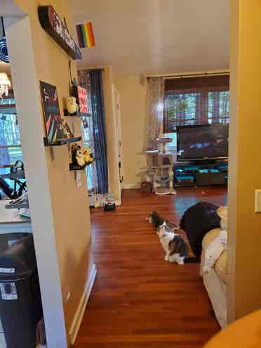 2 Level Apartment w/Private Parking
