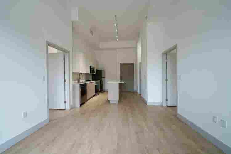 🌴Modern 2BR Apartment-Private Room