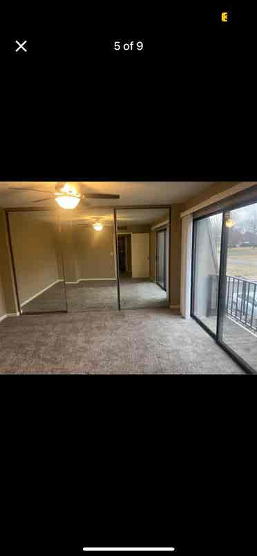 Roommate for condo