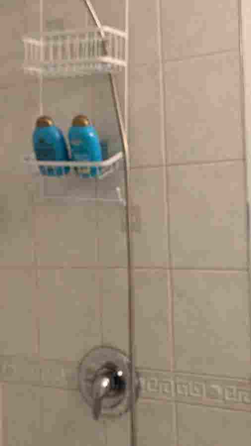 Renovated Furnished two BR flat