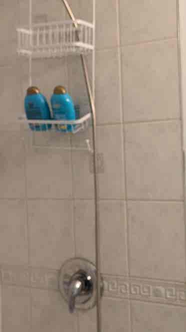 Renovated Furnished two BR flat