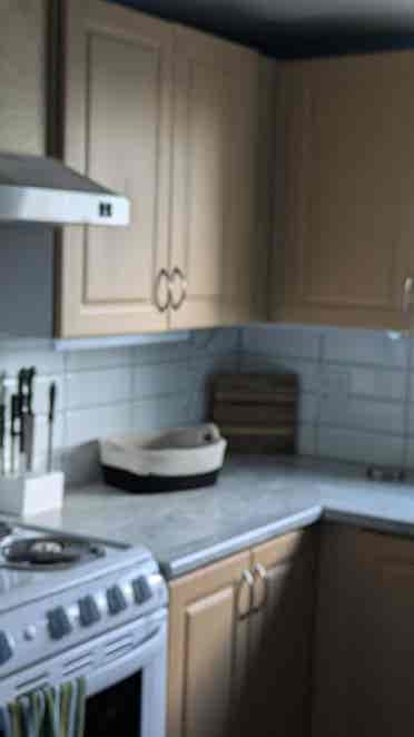 Renovated Furnished two BR flat