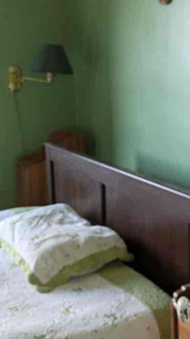 Renovated Furnished two BR flat