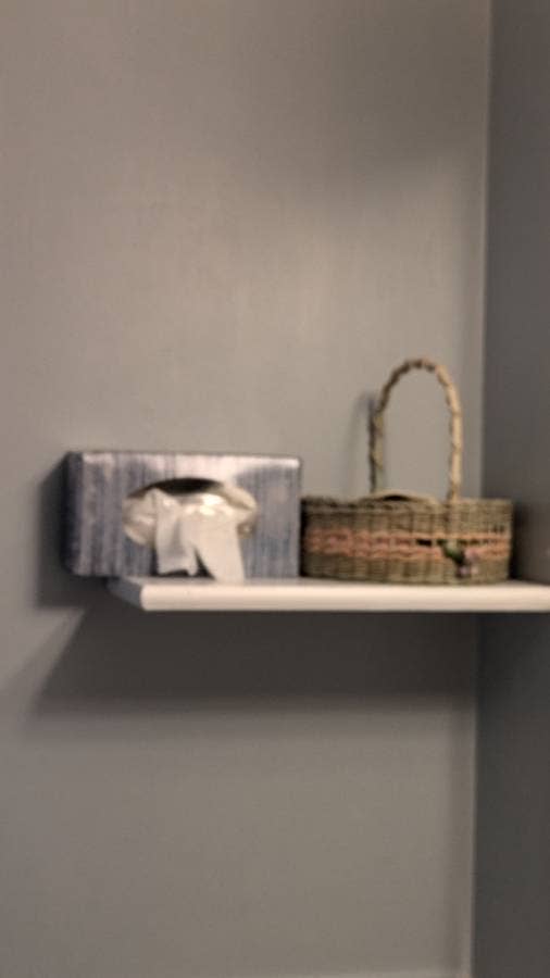 Renovated Furnished two BR flat