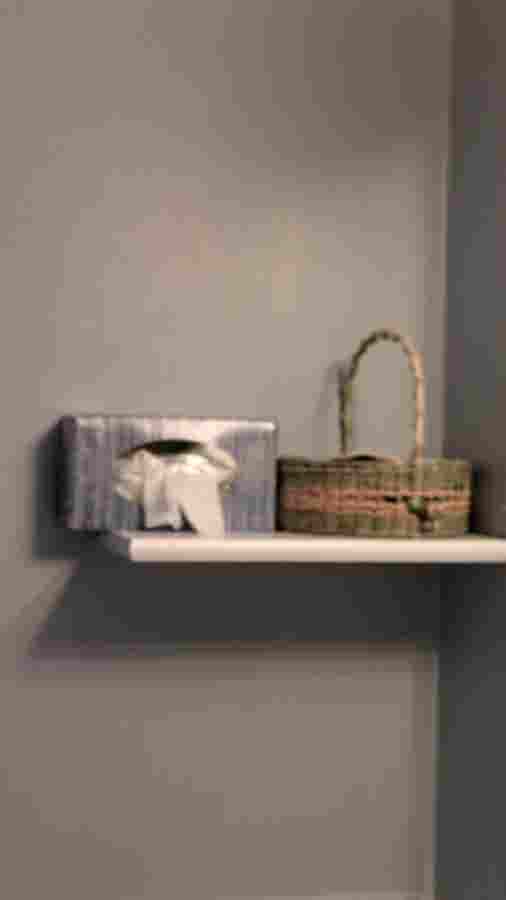 Renovated Furnished two BR flat