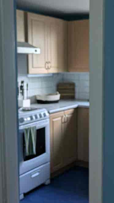Renovated Furnished two BR flat