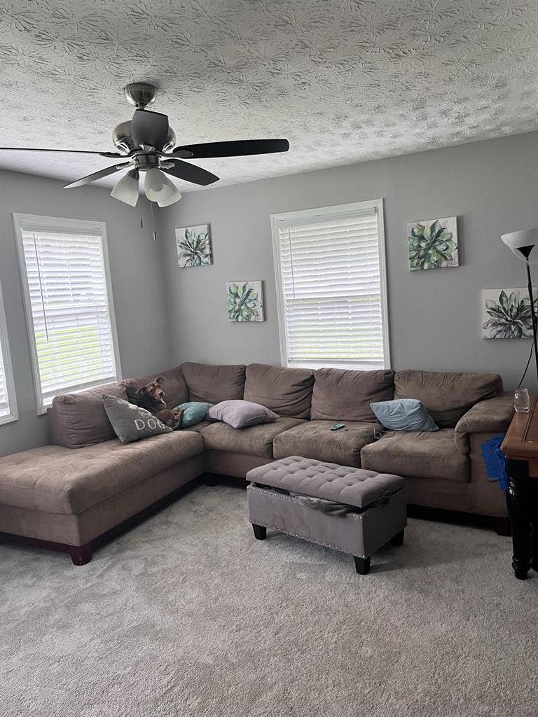 Master Bedroom Available August 1st