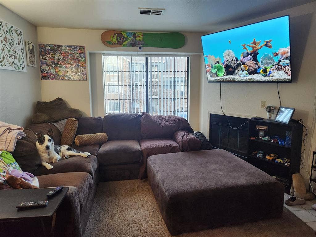 Looking for s roommate!